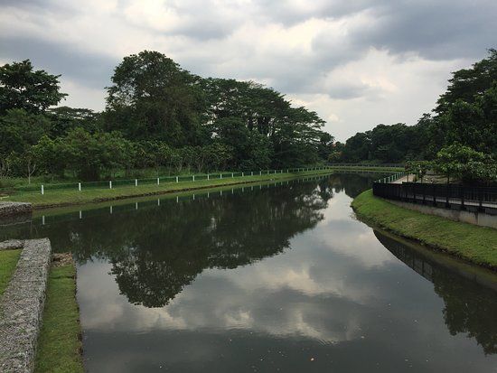 Springleaf Nature Park